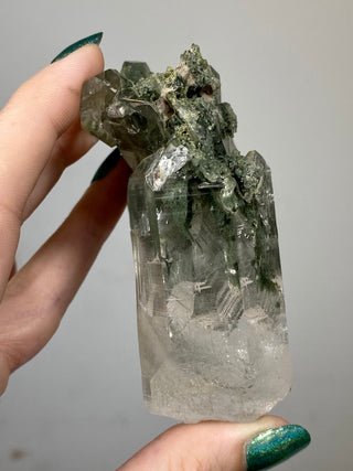 Nirvana Quartz Cluster with Green Chlorite Phantoms | High-Altitude Himalayan Crystal from Curious Muse Crystals Tagged with chlorite inclusion, clear, green, green Quartz, hand mined crystal, hide-notify-btn, high altitude quartz, High vibration stone, Himalayan Quartz, manifesting Quartz, Nirvana Quartz