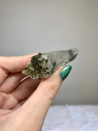 Epidote on Nirvana Quartz Point with Green Chlorite Phantoms - High Altitude Himalayan Crystal from Curious Muse Crystals Tagged with chlorite, clear, epidote, green, hide-notify-btn, high altitude quartz, Himalayan quartz, nirvana quartz, quartz