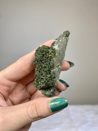 Epidote Cluster on Nirvana Quartz Point | High Altitude Himalayan Crystal from Curious Muse Crystals for 48. Tagged with chlorite, clear, epidote, green, hide-notify-btn, high altitude quartz, Himalayan quartz, nirvana quartz, quartz