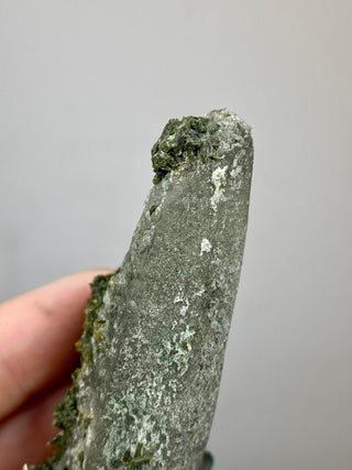 Epidote Cluster on Nirvana Quartz Point | High Altitude Himalayan Crystal from Curious Muse Crystals for 48. Tagged with chlorite, clear, epidote, green, hide-notify-btn, high altitude quartz, Himalayan quartz, nirvana quartz, quartz