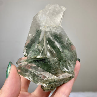 Nirvana Quartz Cluster with Green Chlorite Phantoms | High-Altitude Himalayan Crystal from Curious Muse Crystals for 258. Tagged with chlorite inclusion, clear, green, green Quartz, hand mined crystal, hide-notify-btn, high altitude quartz, High vibration stone, Himalayan Quartz, manifesting Quartz, Nirvana Quartz