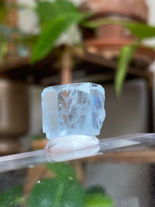 Aquamarine Full Termination High-Grade Crystal with Mica Blade from Curious Muse Crystals Tagged with aquamarine, Aquamarine crystal, blue, complete termination, etched aquamarine, full term aquamarine, gem grade, rare crystal, sky blue crystal, terminated aqua