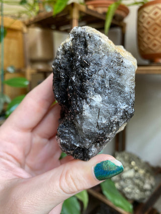 Black Tourmaline in Elestial Quartz | Brazil from Curious Muse Crystals for 115. Tagged with black, Black tourmaline, Brazilian Quartz, clear, elestial, Elestial Quartz, hide-notify-btn, self healed, tourmaline