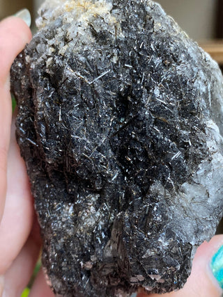 Black Tourmaline in Elestial Quartz | Brazil from Curious Muse Crystals for 115. Tagged with black, Black tourmaline, Brazilian Quartz, clear, elestial, Elestial Quartz, hide-notify-btn, self healed, tourmaline