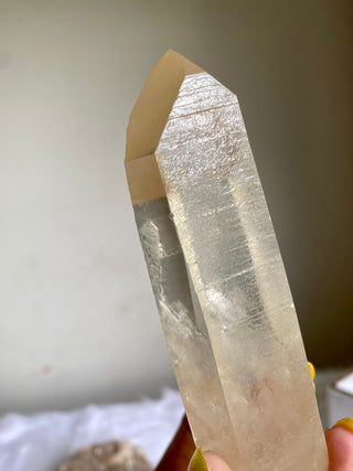 Tangerine Lemurian Seed Quartz - Raw Point Wand from Curious Muse Crystals Tagged with clear, Crystal healing, genuine crystal, hide-notify-btn, high quality natural, lemurian, Lemurian Quartz, Lemurian seed, lemurian wand, mineral collection, natural mineral, orange, quartz, reiki healing, tangerine quartz