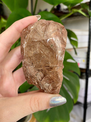 Rutile Inclusion Quartz - Semipolished Lens from Curious Muse Crystals Tagged with clear, clear brazil quartz, crystal energy, crystal lens, genuine crystal, hide-notify-btn, quartz, reiki crystal, reiki healing, rutile