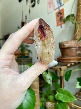 Dreamcoat Lemurian Generator - Polished Brazilian Tower Crystal from Curious Muse Crystals Tagged with clear, clear brazil quartz, dreamcoat lemurian, goethite rutile, hematite amethyst, hide-notify-btn, lemurian, lemurian generator, lemurian seed, purple, red, secondary growth, super seven, synergy seven, yellow