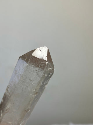 Nirvana Clear Quartz Seed Point | High Altitude Himalayan Crystal from Curious Muse Crystals Tagged with clear, hand mined crystal, hide-notify-btn, high altitude quartz, High vibration stone, Himalayan Quartz, manifesting Quartz, Nirvana Quartz, quartz, seed point, self healed crystal