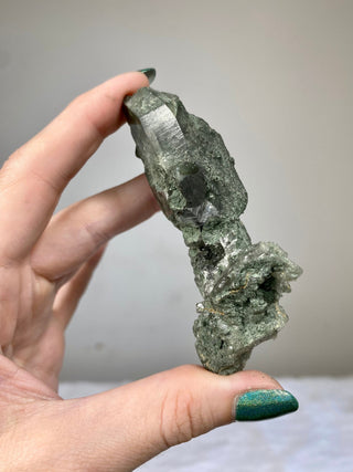 Nirvana Quartz with Green Chlorite Inclusion - High Altitude Himalayan Crystal from Curious Muse Crystals Tagged with chlorite, chlorite inclusion, clear, green, green Quartz, hand mined crystal, hide-notify-btn, high altitude quartz, High vibration stone, Himalayan Quartz, Nirvana Quartz