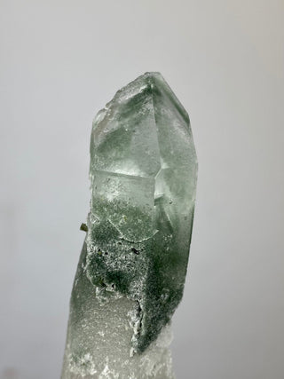 Epidote on Nirvana Quartz Point with Green Chlorite Phantoms - High Altitude Himalayan Crystal from Curious Muse Crystals Tagged with chlorite, clear, epidote, green, hide-notify-btn, high altitude quartz, Himalayan quartz, nirvana quartz, quartz