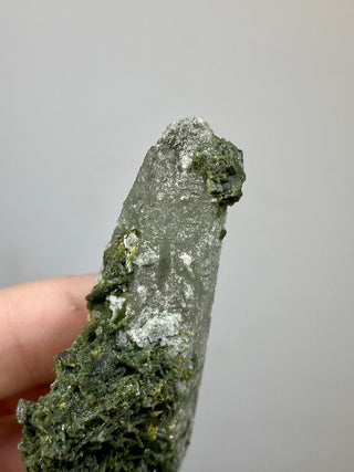 Epidote Cluster on Nirvana Quartz Point | High Altitude Himalayan Crystal from Curious Muse Crystals Tagged with chlorite, clear, epidote, green, hide-notify-btn, high altitude quartz, Himalayan quartz, nirvana quartz, quartz