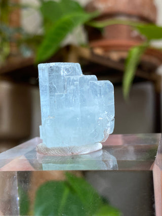 Aquamarine Multi Termination High-Grade Crystal with Mica Blade from Curious Muse Crystals Tagged with aquamarine, Aquamarine crystal, blue, complete termination, etched aquamarine, full term aquamarine, gem grade, rare crystal, sky blue crystal, terminated aqua