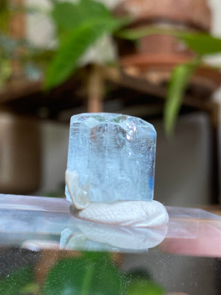 Aquamarine Full Termination High-Grade Crystal with Mica Blade from Curious Muse Crystals Tagged with aquamarine, Aquamarine crystal, blue, complete termination, etched aquamarine, full term aquamarine, gem grade, rare crystal, sky blue crystal, terminated aqua