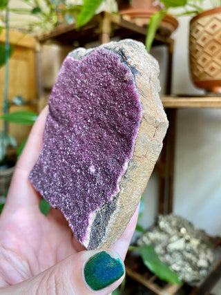 Cobaltoan Calcite - Pink Cobalt Calcite - High Grade Collector Mineral from Curious Muse Crystals Tagged with cobaltoan calcite, crystal energy, hide-notify-btn, high end mineral, pink