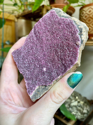 Cobaltoan Calcite - Pink Cobalt Calcite - High Grade Collector Mineral from Curious Muse Crystals Tagged with cobaltoan calcite, crystal energy, hide-notify-btn, high end mineral, pink
