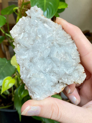 Blue Barite | Large Lustrous Blades | Spain from Curious Muse Crystals for 56. Tagged with barite, baryte, blue, blue Barite, hide-notify-btn, raw mineral, spain