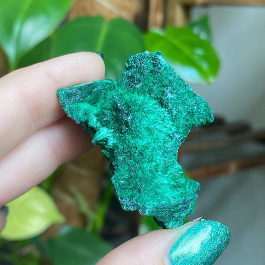 Velvet Malachite Fibrous Cluster - Manifestation and Prosperity from Curious Muse Crystals for 28.00. Tagged with Copper Stone, Crystal Healing, Dark Green Stone, Genuine Crystal, Hearth Chakra, hide-notify-btn, Malachite, Manifestation, Mineral Collection, Natural Mineral, Prosperity Wealth, Raw Mineral, Reiki Healing