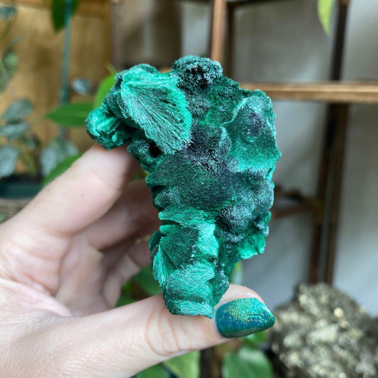 Velvet Malachite Fibrous Cluster - Manifestation and Prosperity from Curious Muse Crystals for 52.00. Tagged with Copper Stone, Crystal Healing, Dark Green Stone, Genuine Crystal, Hearth Chakra, hide-notify-btn, Malachite, Manifestation, Mineral Collection, Natural Mineral, Prosperity Wealth, Raw Mineral, Reiki Healing
