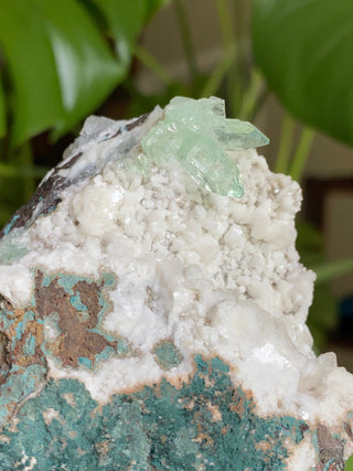 Green Fluorapophyllite Glassy Sharp Terminations | Old Stock 1980’s from Curious Muse Crystals Tagged with clear, Crystal healing, genuine crystal, green, hide-notify-btn, natural mineral, raw mineral, reiki crystal