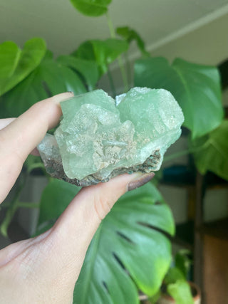 Green Fluorapophyllite Cubic Terminations on Stilbite | Old Stock 1980’s from Curious Muse Crystals Tagged with clear, Crystal healing, genuine crystal, green, hide-notify-btn, natural mineral, raw mineral, reiki crystal