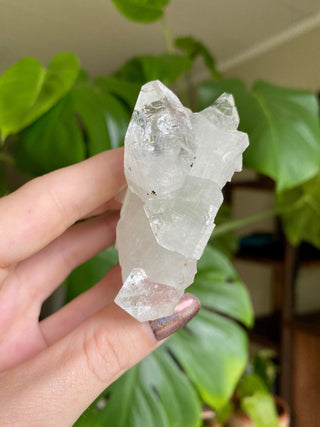 Glassy Clear Fluorapophyllite Termination Cluster | Old Stock 1980’s from Curious Muse Crystals Tagged with apophyllite, clear, Crystal healing, fine mineral, genuine crystal, hide-notify-btn, natural mineral, raw mineral, reiki crystal, zeolite
