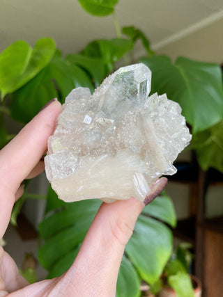 Glassy Clear Fluorapophyllite and Stilbite Cluster | Old Stock 1980’s from Curious Muse Crystals Tagged with apophyllite, clear, Crystal healing, fine mineral, genuine crystal, hide-notify-btn, natural mineral, raw mineral, reiki crystal, stilbite, zeolite