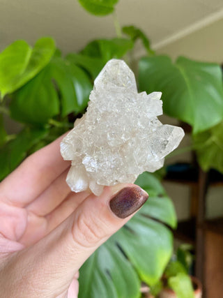 Glassy Clear Fluorapophyllite and Stilbite Cluster | Old Stock 1980’s from Curious Muse Crystals for 99. Tagged with apophyllite, clear, Crystal healing, fine mineral, genuine crystal, hide-notify-btn, natural mineral, raw mineral, reiki crystal, stilbite, zeolite