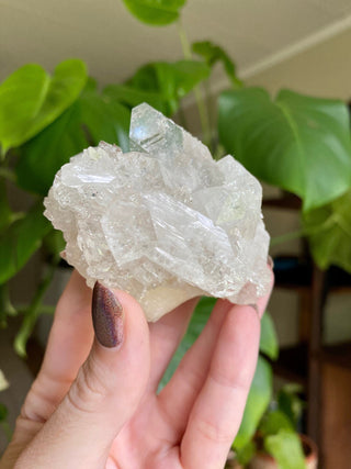 Glassy Clear Fluorapophyllite and Stilbite Cluster | Old Stock 1980’s from Curious Muse Crystals Tagged with apophyllite, clear, Crystal healing, fine mineral, genuine crystal, hide-notify-btn, natural mineral, raw mineral, reiki crystal, stilbite, zeolite