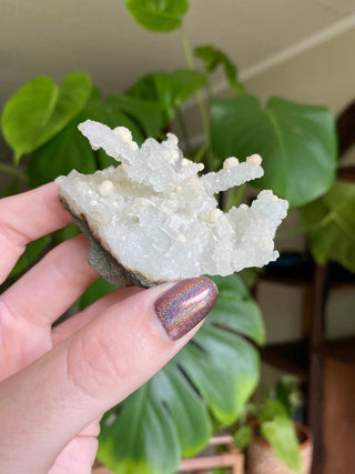 Chalcedony Stalactites with Stilbite Spherical Clusters | Old Stock 1980’s from Curious Muse Crystals for 36. Tagged with chalcedony, crystal energy, fine mineral, hide-notify-btn, india, raw, reiki healing, stilbite, zeolite