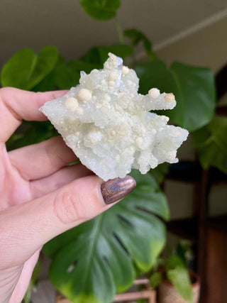 Chalcedony Stalactites with Stilbite Spherical Clusters | Old Stock 1980’s from Curious Muse Crystals Tagged with chalcedony, crystal energy, fine mineral, hide-notify-btn, india, raw, reiki healing, stilbite, zeolite