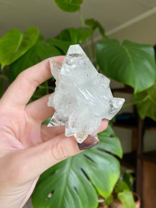 Glassy Clear Fluorapophyllite Termination Cluster | Old Stock 1980’s from Curious Muse Crystals for 66. Tagged with apophyllite, Crystal healing, fine mineral, genuine crystal, hide-notify-btn, natural mineral, raw mineral, reiki crystal, zeolite