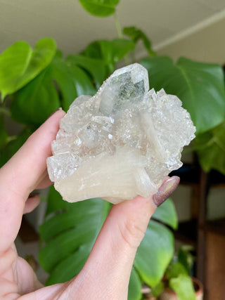 Glassy Clear Fluorapophyllite and Stilbite Cluster | Old Stock 1980’s from Curious Muse Crystals for 99. Tagged with apophyllite, clear, Crystal healing, fine mineral, genuine crystal, hide-notify-btn, natural mineral, raw mineral, reiki crystal, stilbite, zeolite
