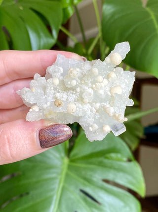Chalcedony Stalactites with Stilbite Spherical Clusters | Old Stock 1980’s from Curious Muse Crystals Tagged with chalcedony, crystal energy, fine mineral, hide-notify-btn, india, raw, reiki healing, stilbite, zeolite