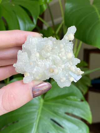 Chalcedony Stalactites with Stilbite Spherical Clusters | Old Stock 1980’s from Curious Muse Crystals for 36. Tagged with chalcedony, crystal energy, fine mineral, hide-notify-btn, india, raw, reiki healing, stilbite, zeolite