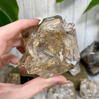 Elestial Fenster Quartz from Mexico | Self-Discovery from Curious Muse Crystals Tagged with clear, double terminated, elestial, enhydro, fenster, hide-notify-btn, mexico, quartz, yellow