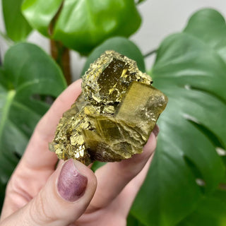 Siderite with Chalcopyrite from Kaiwu Mine, China from Curious Muse Crystals for 65. Tagged with brown, chalcopyrite, hide-notify-btn, raw mineral, siderite, yellow