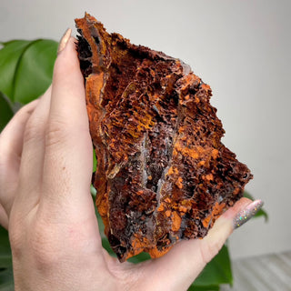 Calcite over Goethite and Limonite | Santa Eulalia, Mexico | G2 from Curious Muse Crystals Tagged with black, brown, calcite, crystal energy, goethite, hide-notify-btn, limonite, mexico, red, reiki healing, santa eulalia, yellow