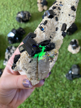 Erongo Black Tourmaline Raw Cluster | High Grade from Curious Muse Crystals Tagged with black, Erongo, fine mineral, hide-notify-btn, Namibia, raw, tourmaline, uv reactive