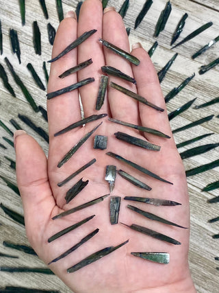 Vivianite Blades - Spiritual Awareness from Curious Muse Crystals Tagged with black, blue, collector grade, fine mineral, genuine mineral, green, green blue crystal, high end mineral, natural crystal, raw mineral, raw specimen, raw vivianite, reiki work, vivianite