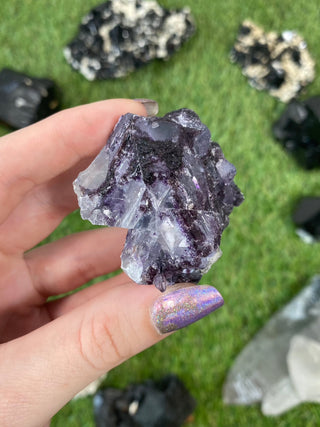 Erongo Fluorite with Tourmaline - High Grade from Curious Muse Crystals for 42. Tagged with black, erongo, fine mineral, fluorite, hide-notify-btn, namibia, purple, raw, tourmaline