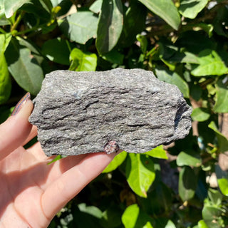 Alaskan Garnets in Mica Schist | Medium Standing from Curious Muse Crystals Tagged with alaska, garnet, kundalini, loyalty, mica, mica schist, natural garnet, protection, raw mineral, red, red garnet, willpower