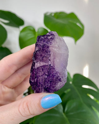 Múzquiz Fluorite from Esperanza Mine, Mexico from Curious Muse Crystals for 25.00. Tagged with fluorescence, fluorite, hide-notify-btn, mexico, muzquiz fluorite, purple, raw crystal, uv reactive