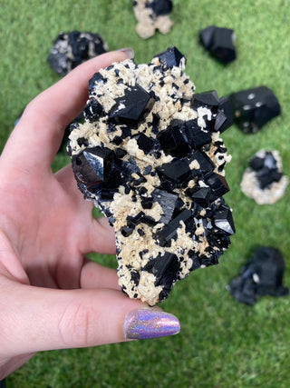 Erongo Black Tourmaline Raw Cluster - High Grade from Curious Muse Crystals Tagged with black, Erongo, fine mineral, hide-notify-btn, Namibia, raw, tourmaline
