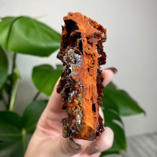 Calcite over Goethite and Limonite | Santa Eulalia, Mexico | G3 from Curious Muse Crystals Tagged with black, brown, calcite, crystal energy, goethite, hide-notify-btn, limonite, mexico, red, reiki healing, santa eulalia, yellow