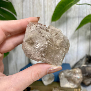 Fenster Quartz from Mexico | Self-Discovery from Curious Muse Crystals Tagged with clear, elestial, enhydro, fenster quartz, fluid inclusion, hide-notify-btn, mexico, quartz, yellow