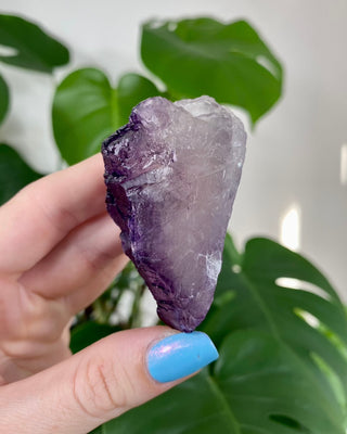 Múzquiz Fluorite from Esperanza Mine, Mexico from Curious Muse Crystals Tagged with fluorescence, fluorite, hide-notify-btn, mexico, muzquiz fluorite, purple, raw crystal, uv reactive