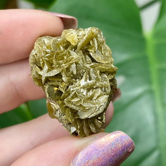 Siderite with Chalcopyrite from Kaiwu Mine, China from Curious Muse Crystals for 26.00. Tagged with chalcopyrite, hide-notify-btn, raw mineral, siderite