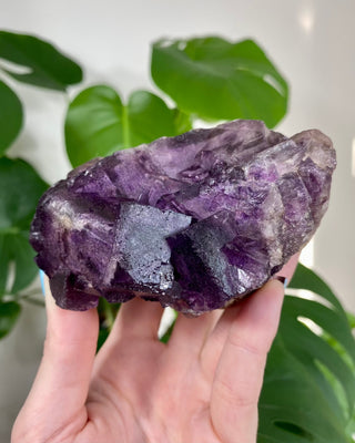 Múzquiz Fluorite with Unique Phantoms from Muzquiz, Mexico from Curious Muse Crystals Tagged with fluorescence, fluorite, hide-notify-btn, mexico, muzquiz fluorite, purple, raw crystal, uv reactive