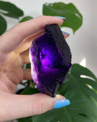 Múzquiz Fluorite from Esperanza Mine, Múzquiz, Mexico from Curious Muse Crystals Tagged with Crystal healing, fluorite, genuine crystal, hide-notify-btn, muzquiz fluorite, natural mineral, purple, raw mineral, reiki crystal, uv reactive