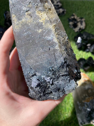 Quartz with Tourmaline from Madagascar - High Grade Collector Mineral from Curious Muse Crystals for 165. Tagged with clear quartz, crystal energy, fine mineral, hide-notify-btn, inclusion quartz, Madagascar, quartz, reiki healing, tourmaline